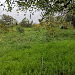 1 Tag in Probstzella, 2024